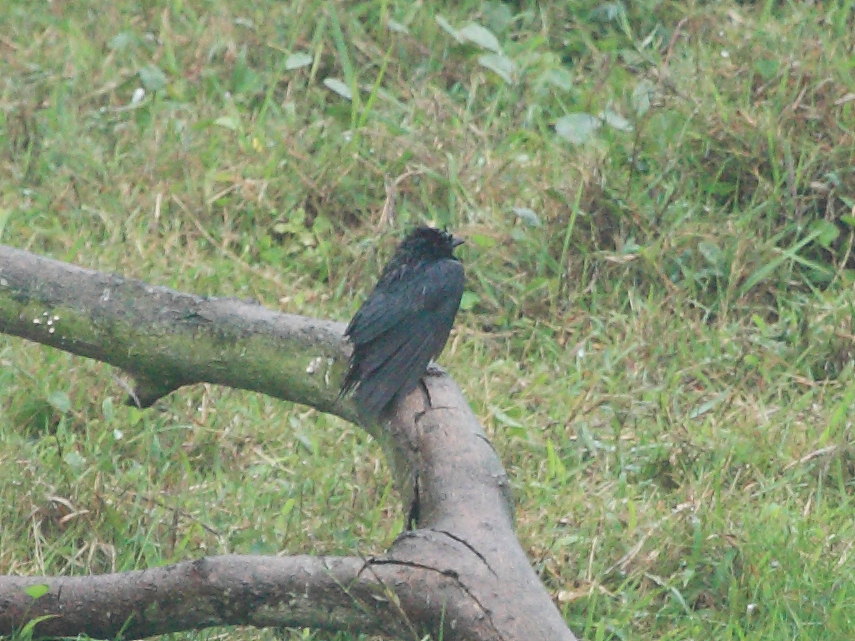 DPP_2573.JPG