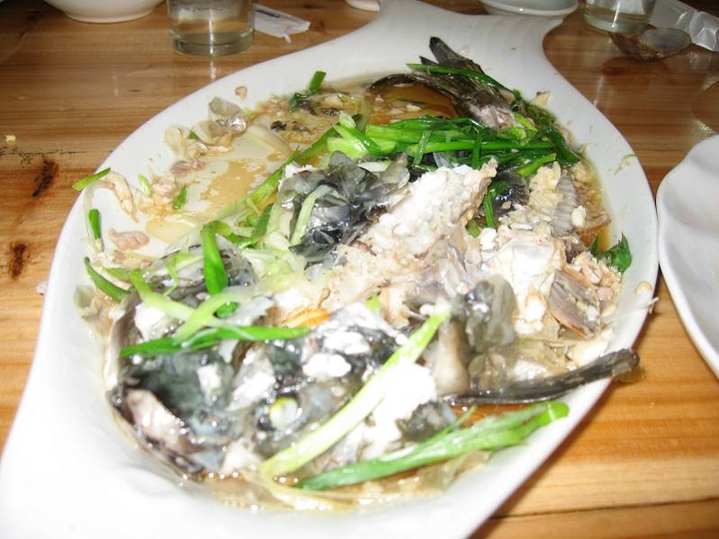 复件 IMG_0486.JPG