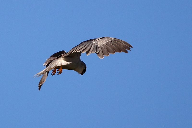 IMG_6057.JPG
