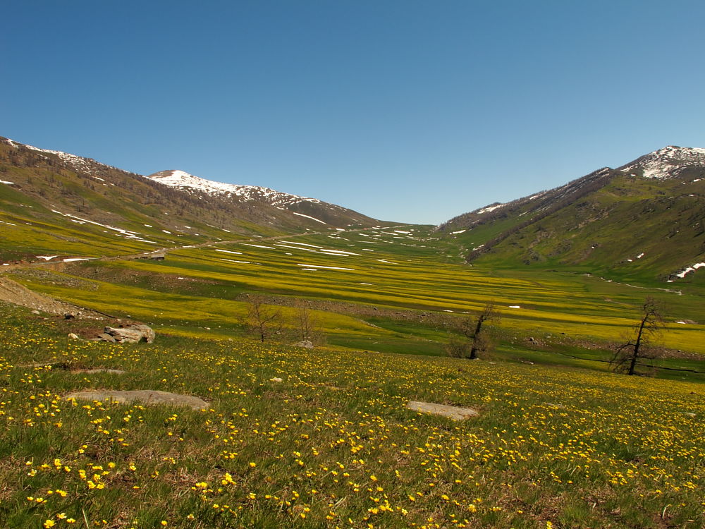 DPP_2594.JPG