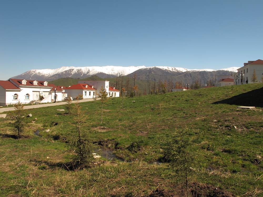 DPP_2840.JPG