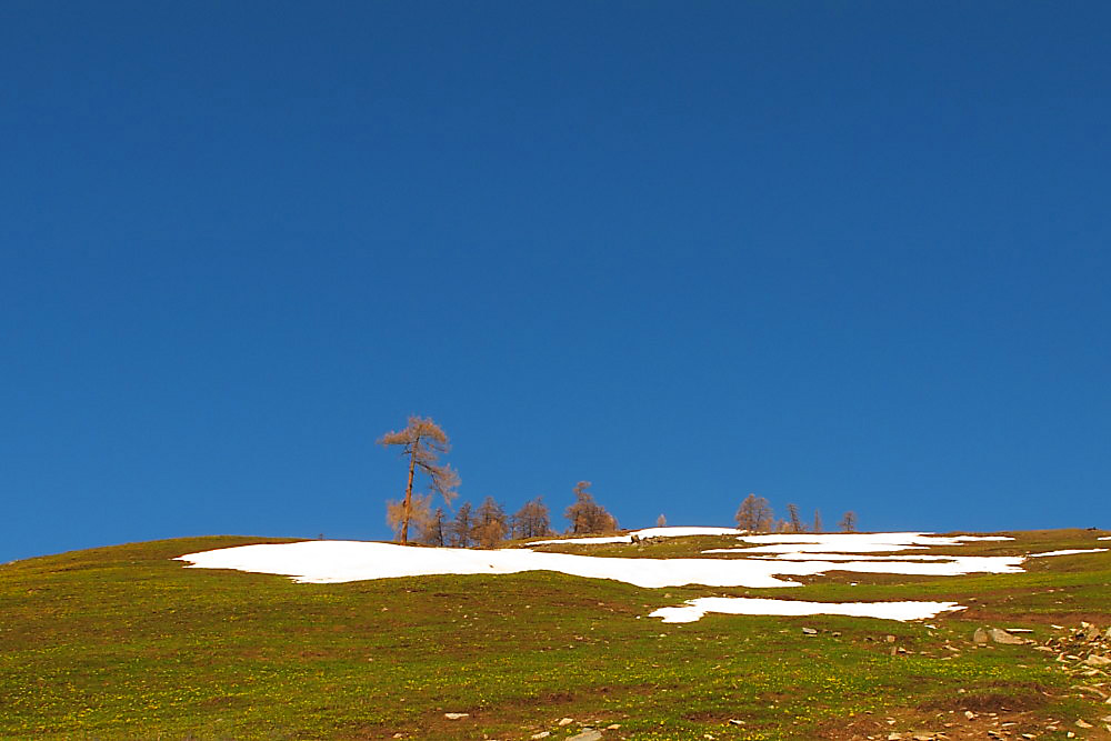 DPP_28211.jpg