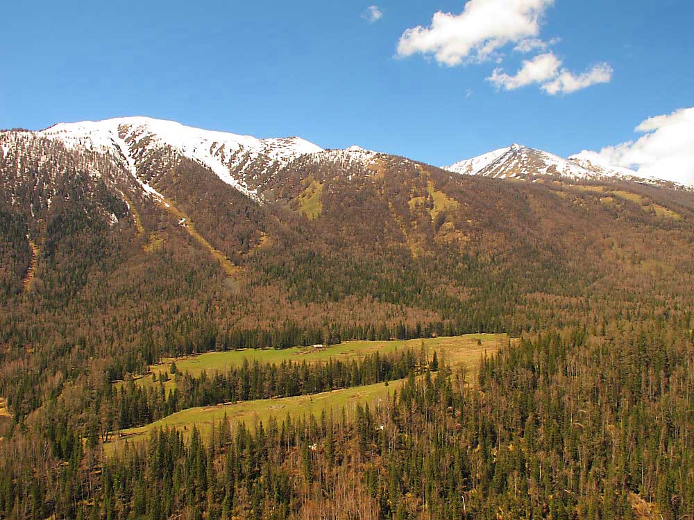 DPP_28391.jpg