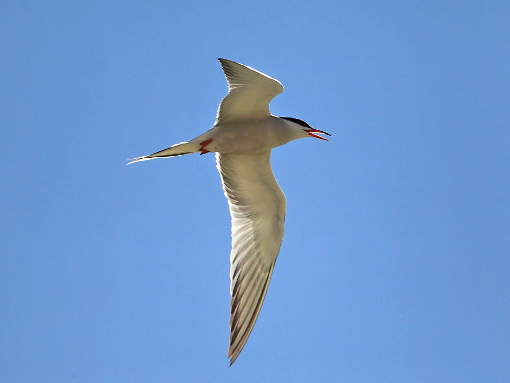 DPP_2868-1.jpg