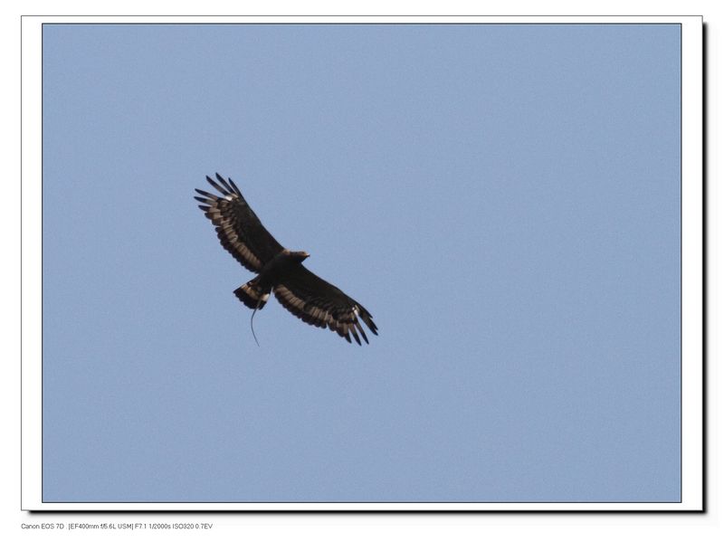 IMG_3923.JPG