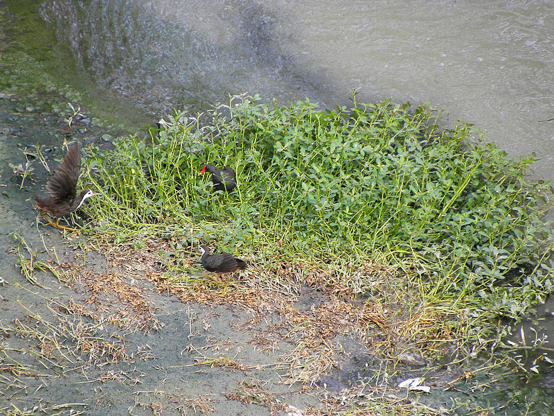 06.jpg