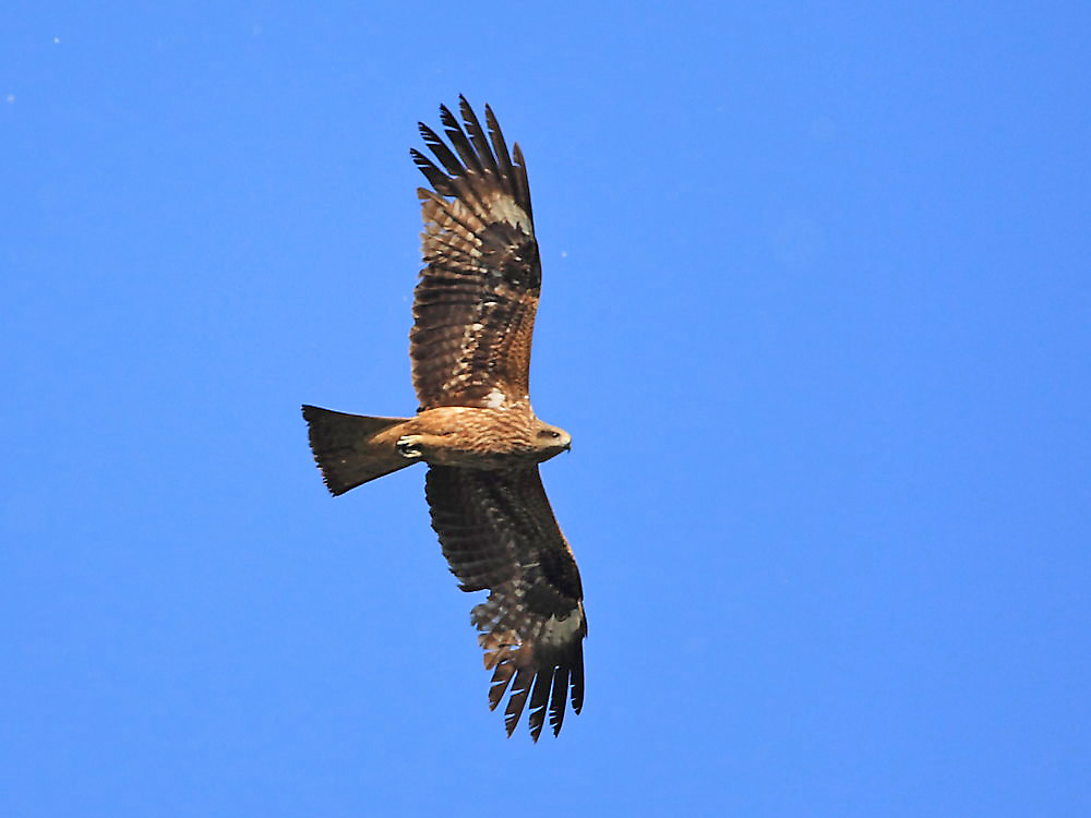 DPP_2873-1.jpg