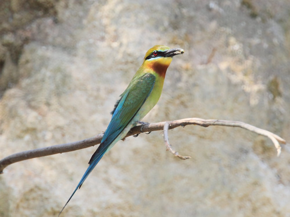 DPP_2925.JPG