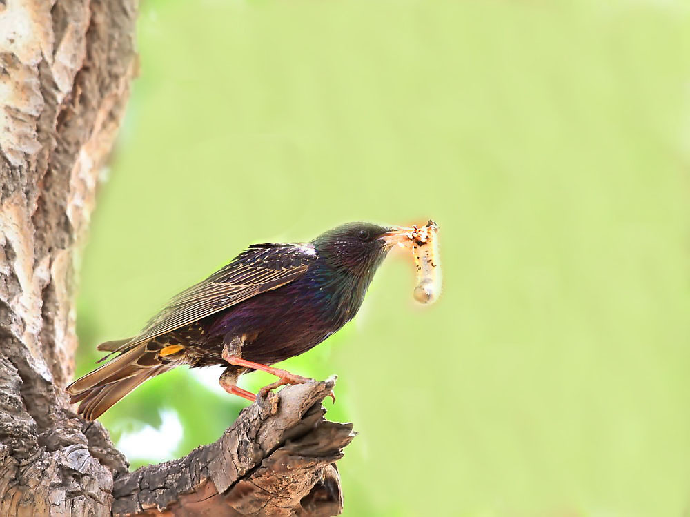 DPP_2957-4.jpg