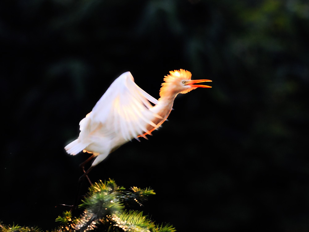 DPP_3118-1.jpg
