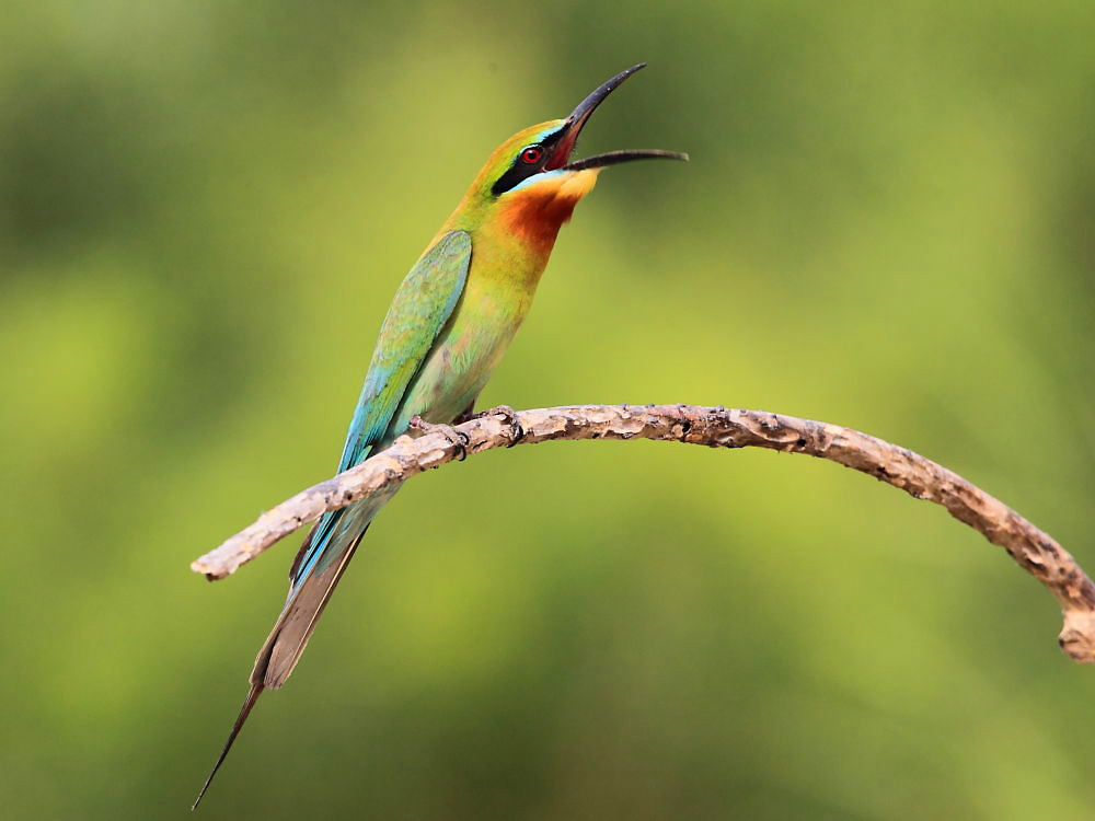 DPP_2966-1.jpg