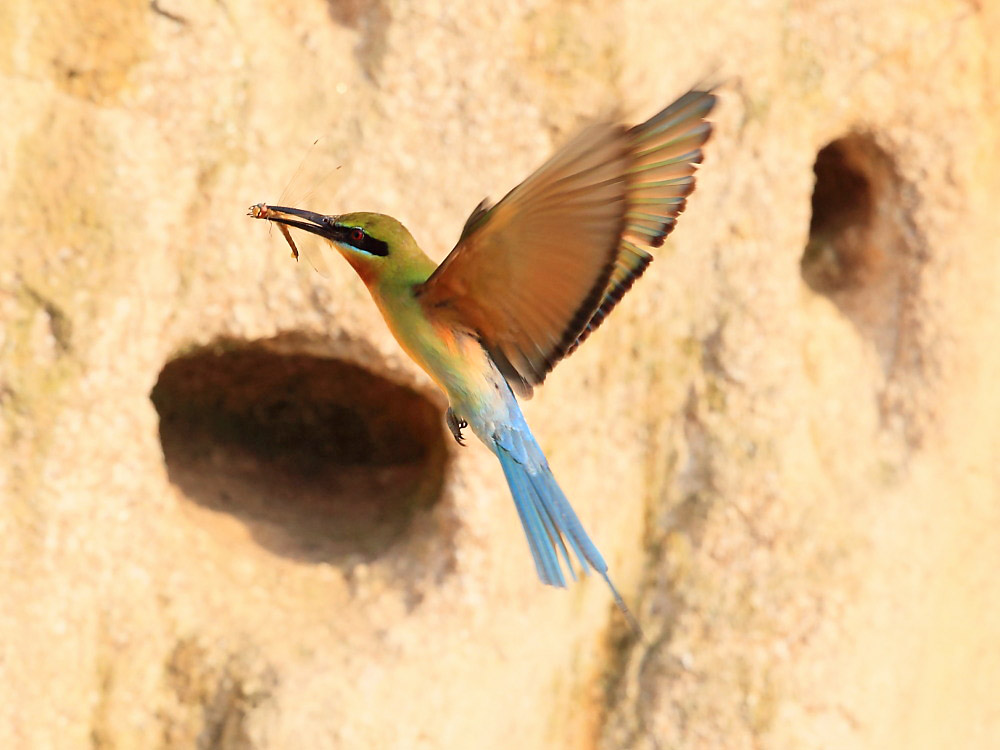 DPP_3086-1.jpg
