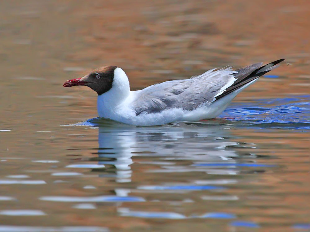 DPP_32951.jpg