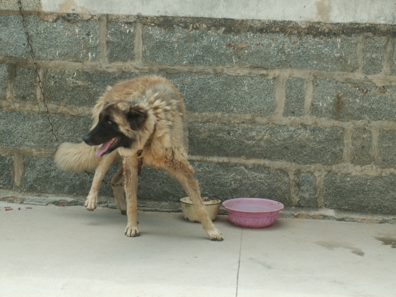 PICT2152.JPG