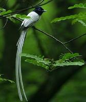 f7426d8d42643e2eb31bbaf5.jpg
