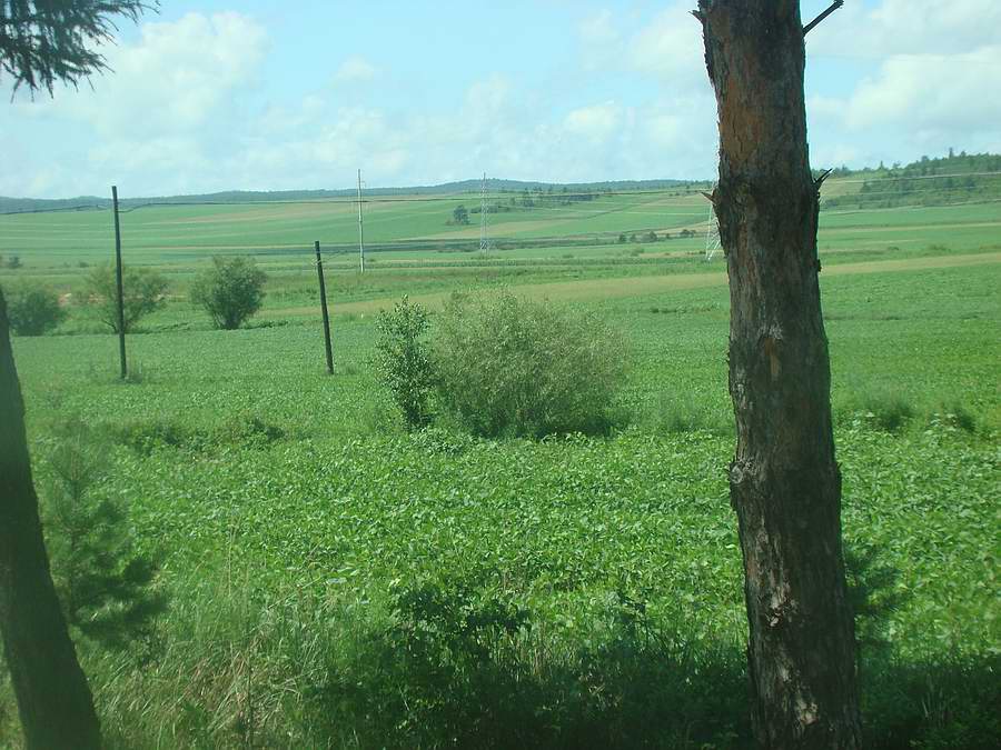DSC05877.jpg