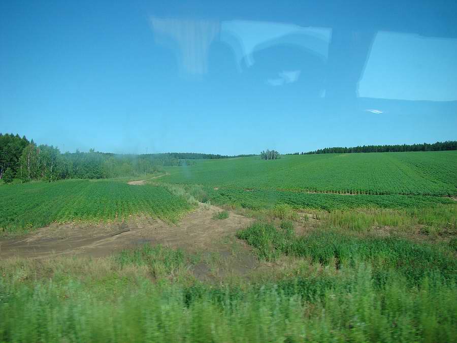 DSC05864.jpg
