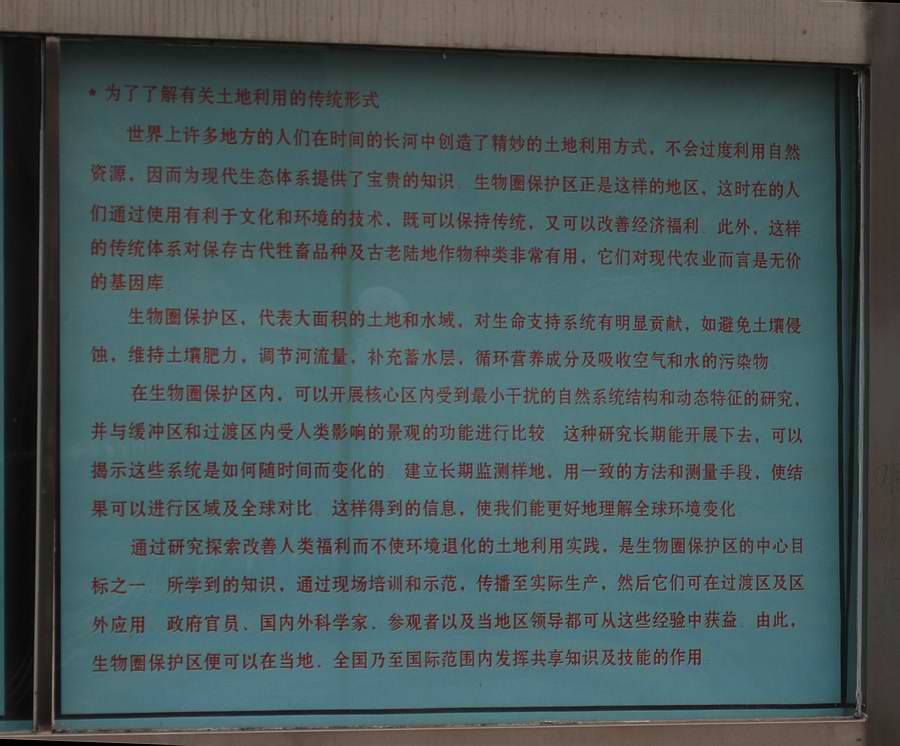 IMG_8453.jpg