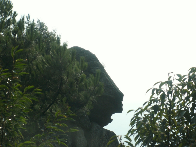 PICT2575.JPG