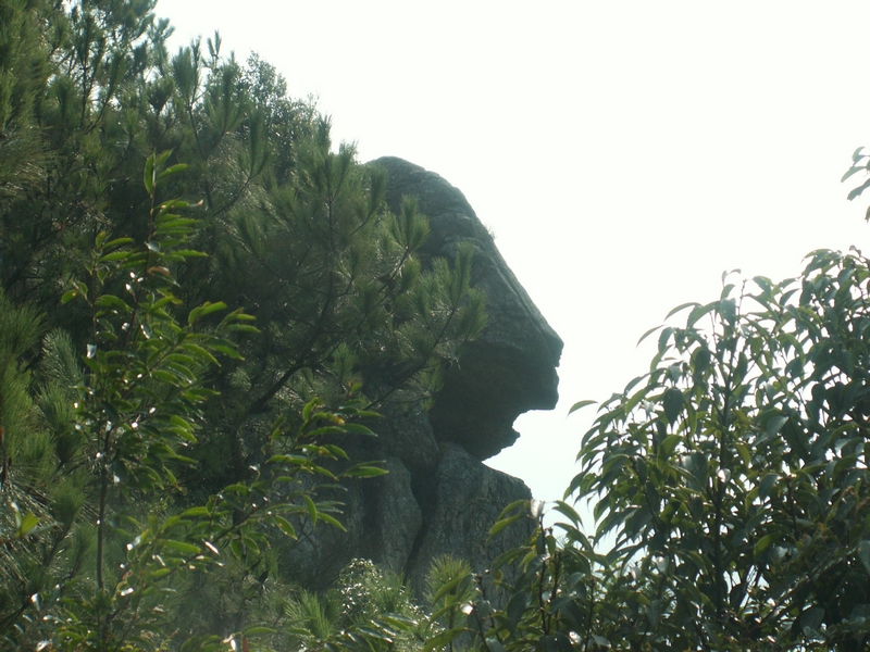 PICT2574.JPG