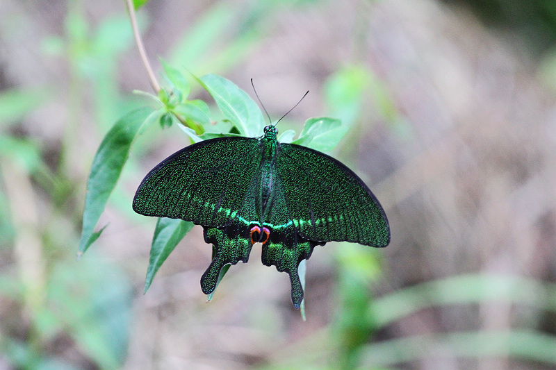 2010_08_21_0049.jpg