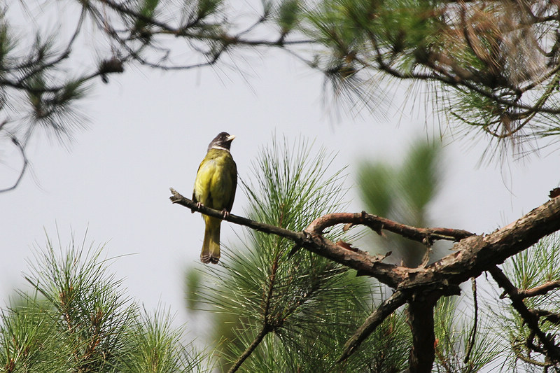 2010_08_21_0036.jpg