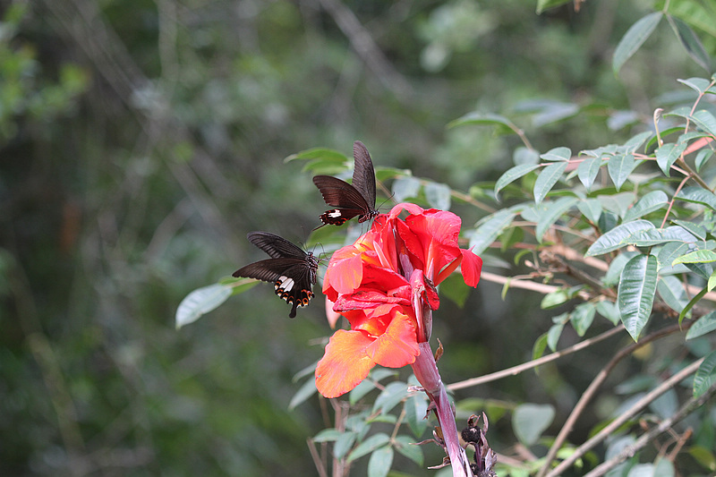 2010_08_21_0023.jpg
