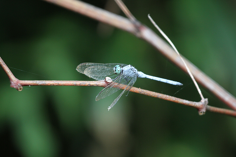 2010_08_21_0012.jpg