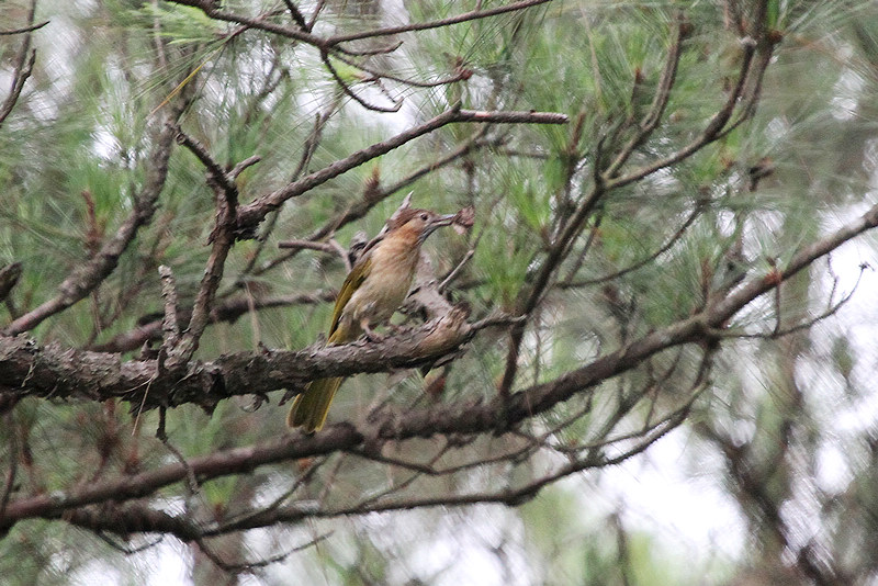 2010_08_21_0041.jpg