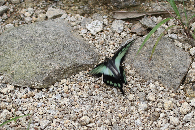 2010_08_21_0094.jpg