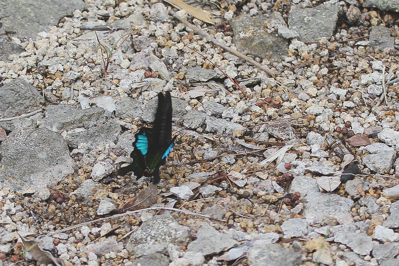 2010_08_21_0091.jpg