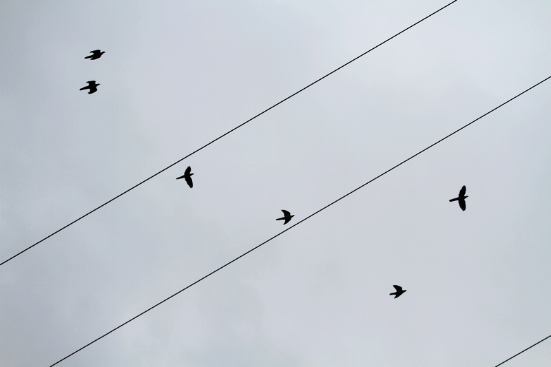 2010_08_21_0095.jpg