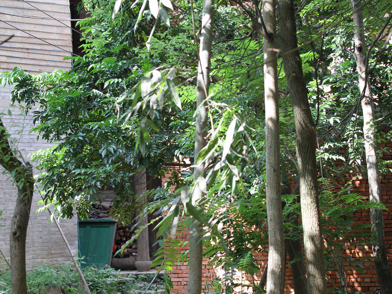 2010_08_22_0061.jpg