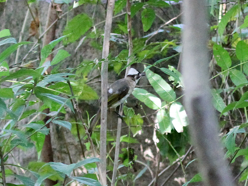 2010_08_22_0062.jpg