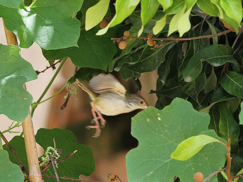 2010_08_22_0084.jpg