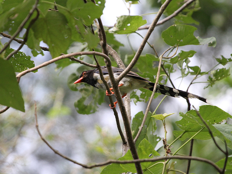 2010_08_22_0146.jpg