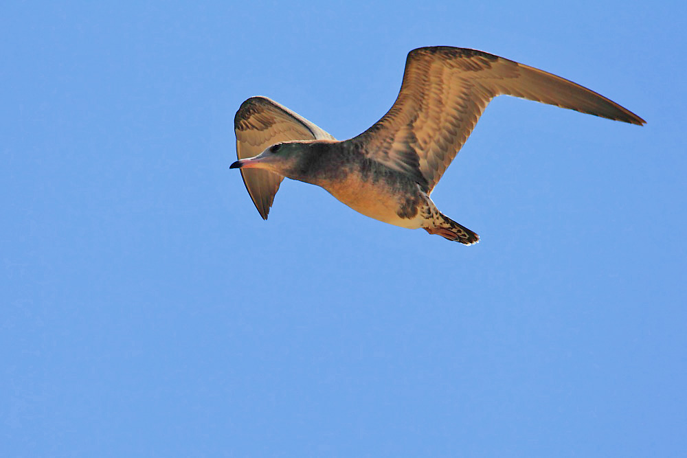DPP_3745-1.jpg