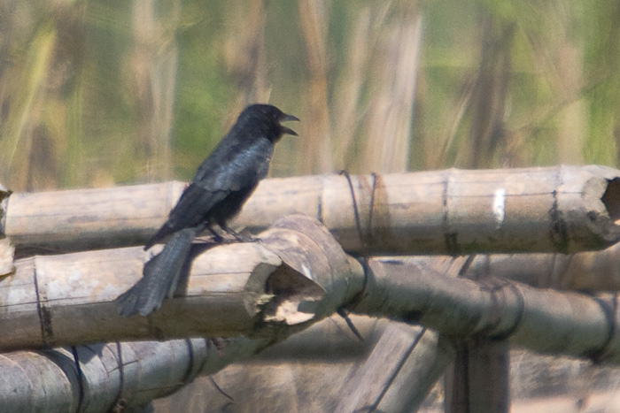 A05700.jpg