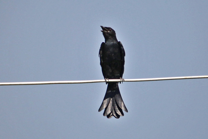 A06700.jpg
