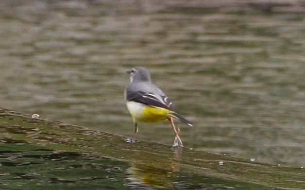 IMG_0039.jpg