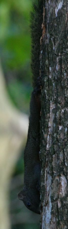 IMG_0055.jpg