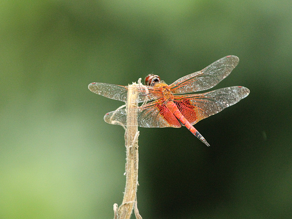 2010_09_23_0072b.jpg
