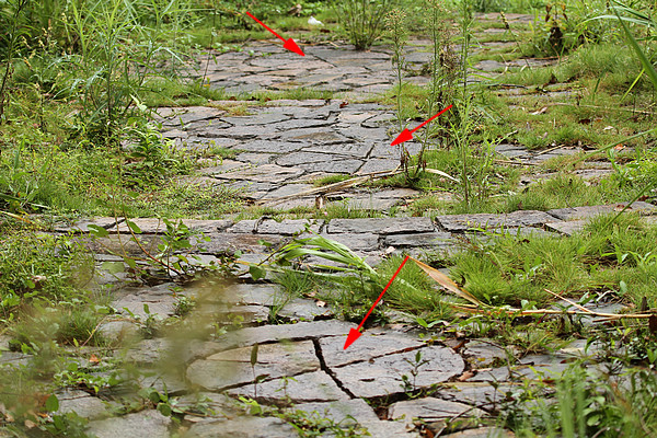 2010_09_23_0091b.jpg