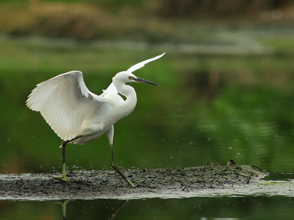 IMG_4973.JPG