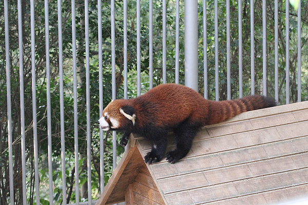 2010_10_07_0013.jpg
