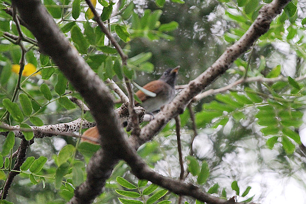 2010_10_07_0032.jpg