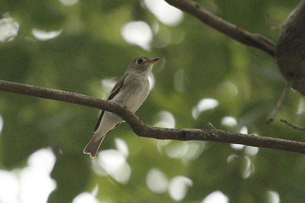 2010_10_07_0707.jpg