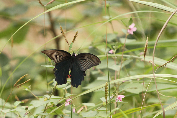 2010_10_07_0502.jpg