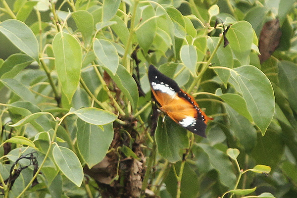 2010_10_07_0643.jpg