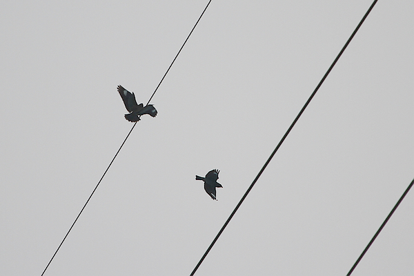 2010_10_07_0572.jpg